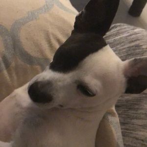 Meet your Posher, Stacy